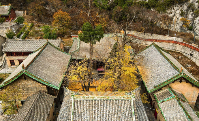 Visit Qinglian Ancient Temple and enjoy the golden ginkgoes.