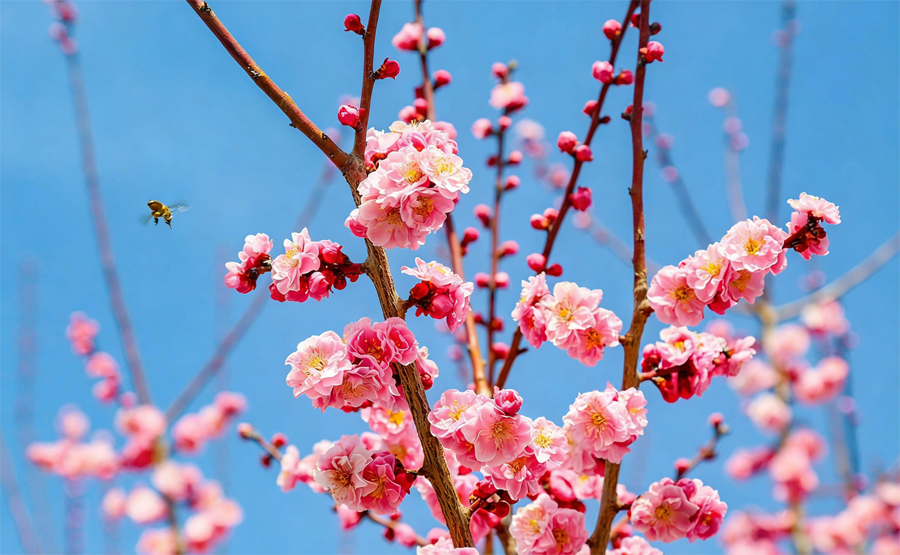 Gaoping: As Spring Warms and Flowers Bloom, Residents Head Out for Picnics and Flower Viewing to Enjoy the Beautiful Spring Weather
