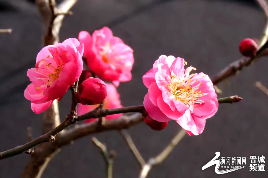 微信图片_20250304101619 副本.jpg