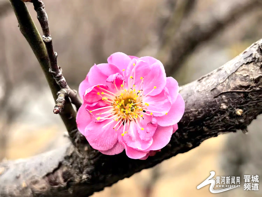 微信图片_20250304101559 副本.jpg